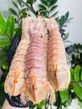  Tôm tít khổng lồ nguyên con túi 1kg (15-20con/kg) 