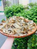  Tôm xẻ khô cao cấp - túi 200g 
