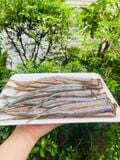  KHÔ CÁ LÌM KÌM TIÊU ỚT - TÚI 250GRAM 