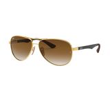  Kính mát RAYBAN 0RB8313 001/51 