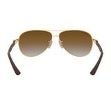  Kính mát RAYBAN 0RB8313 001/51 