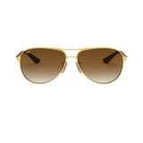  Kính mát RAYBAN 0RB8313 001/51 