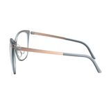  Gọng kính SILHOUETTE 1610 4530 