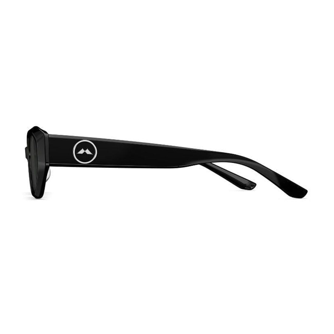  KÍNH MÁT UNISEX MOLSION MS3103 C10 
