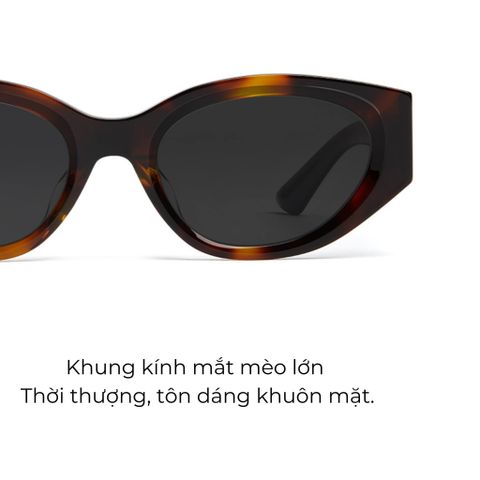 Kính mát MOLSION MS3123 C20