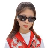  Kính mát MOLSION MS3083 C10 