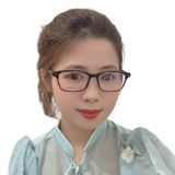  Gọng kính Salvatore Ferragamo SF9002 214 