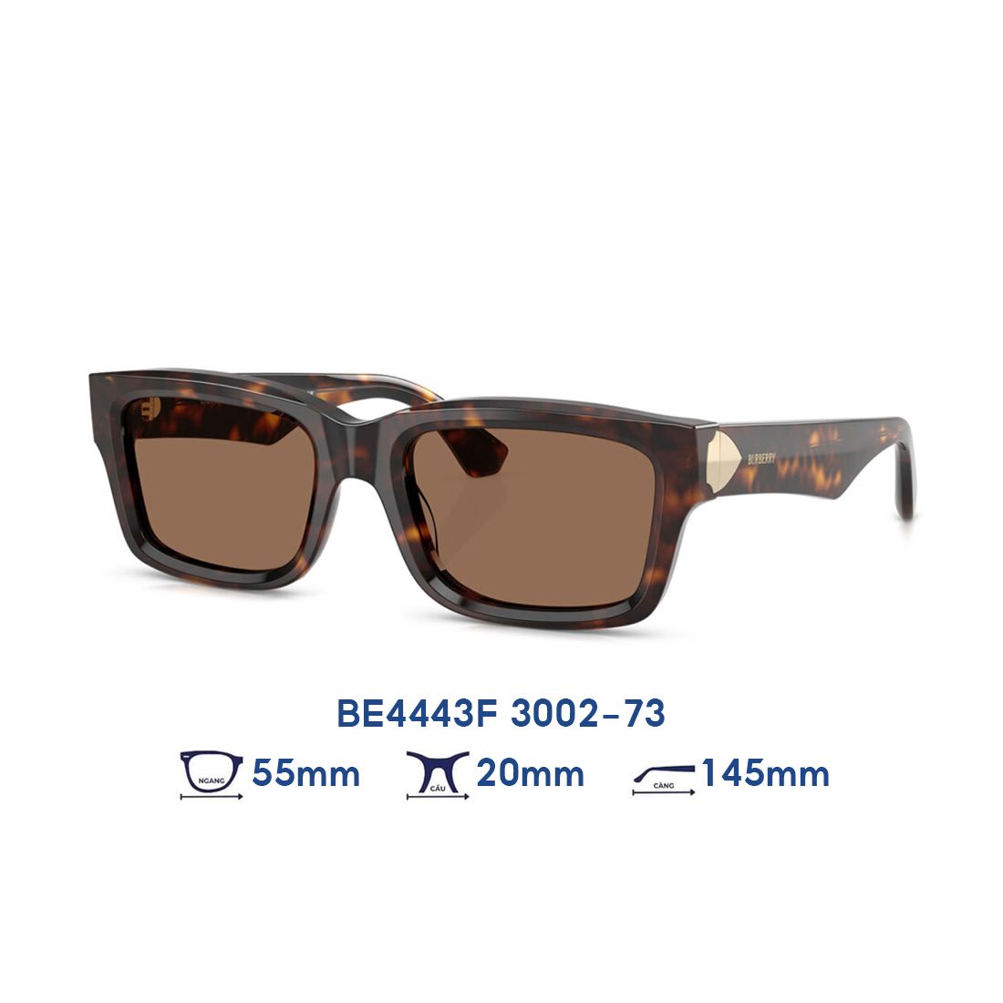  Kính mát BURBERRY BE4443F 3002/73 