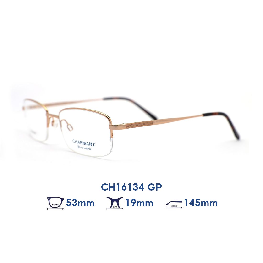  Gọng kính CHARMANT BLUE CH16134 GP 