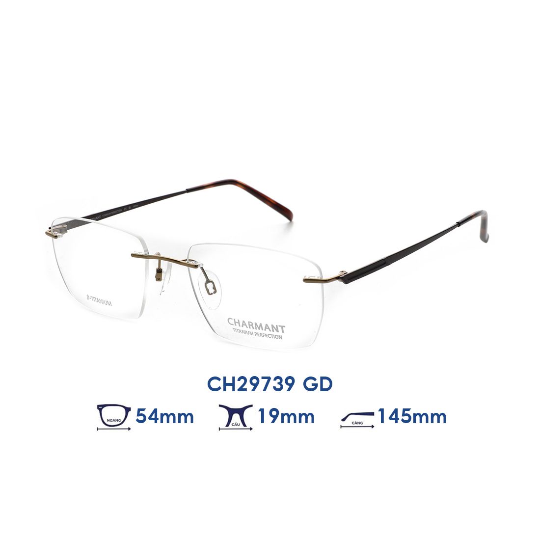  Gọng kính CHARMANT CH29739 GD 