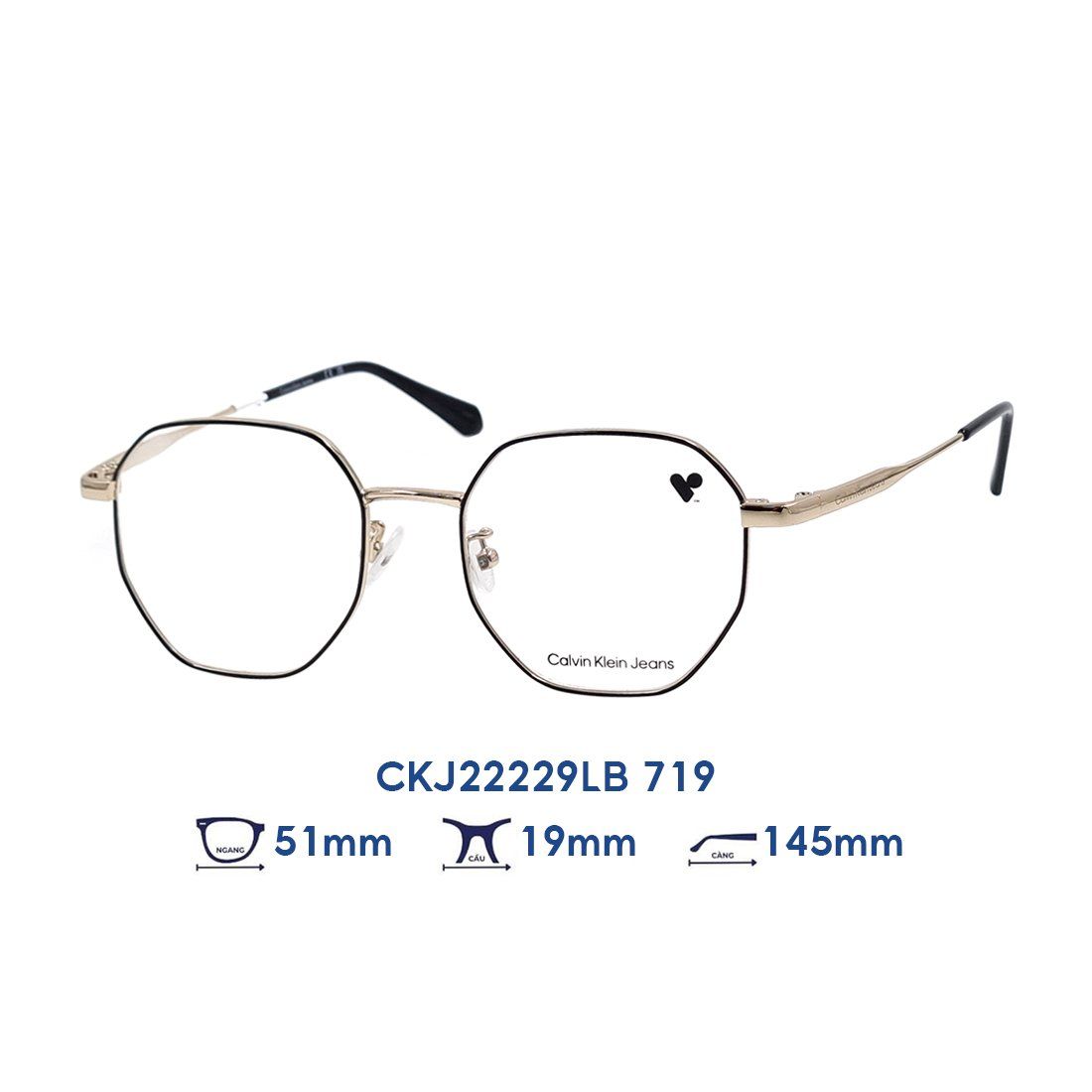  Gọng kính Calvin Klein Jeans CKJ22229LB 719 