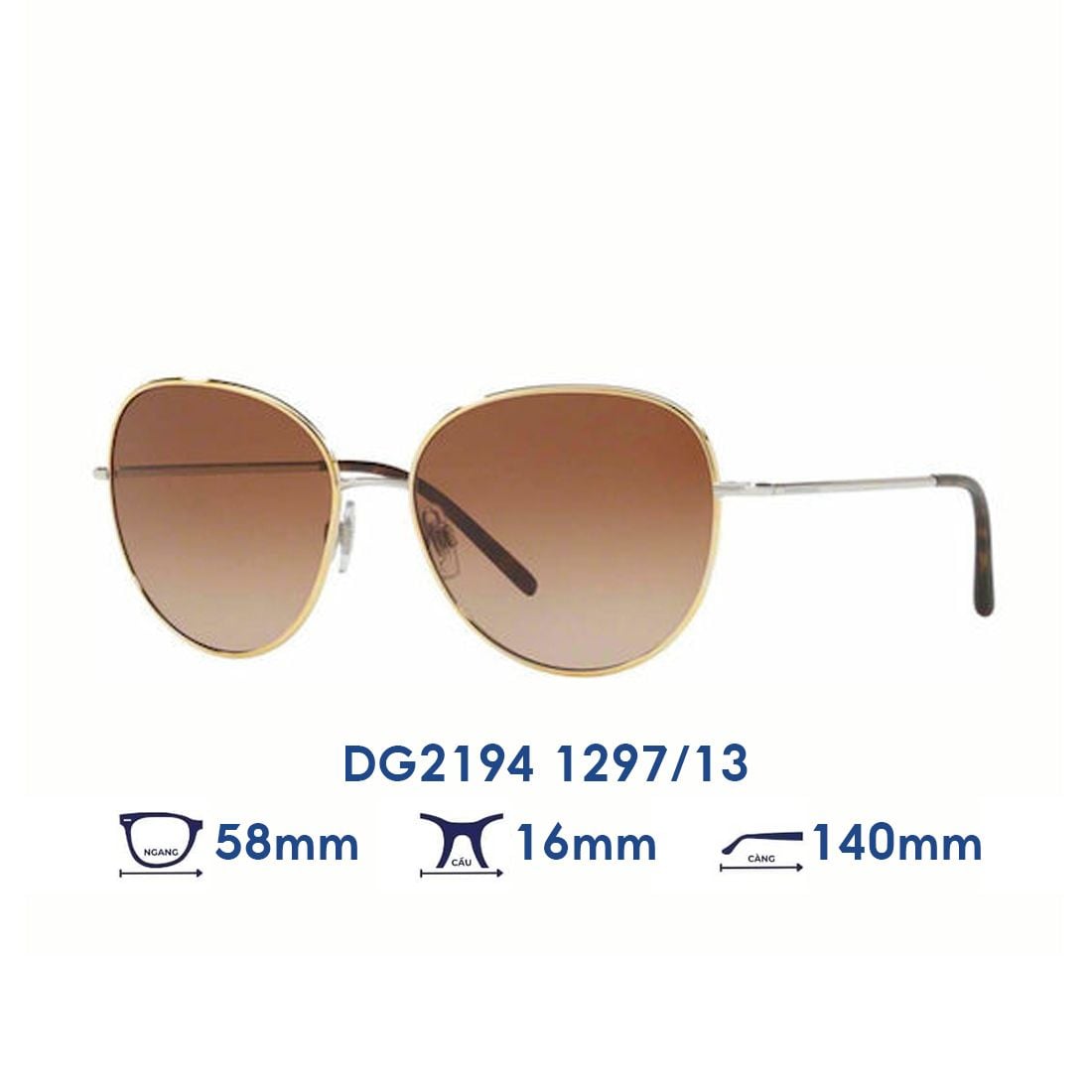  Kính mát Dolce Gabbana DG2194 1297/13 