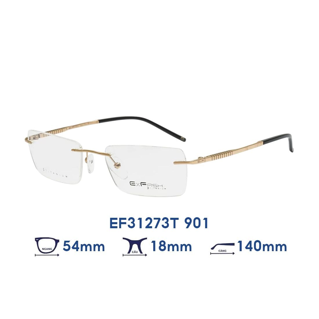  Gọng kính EXFASH EF31273T 901 