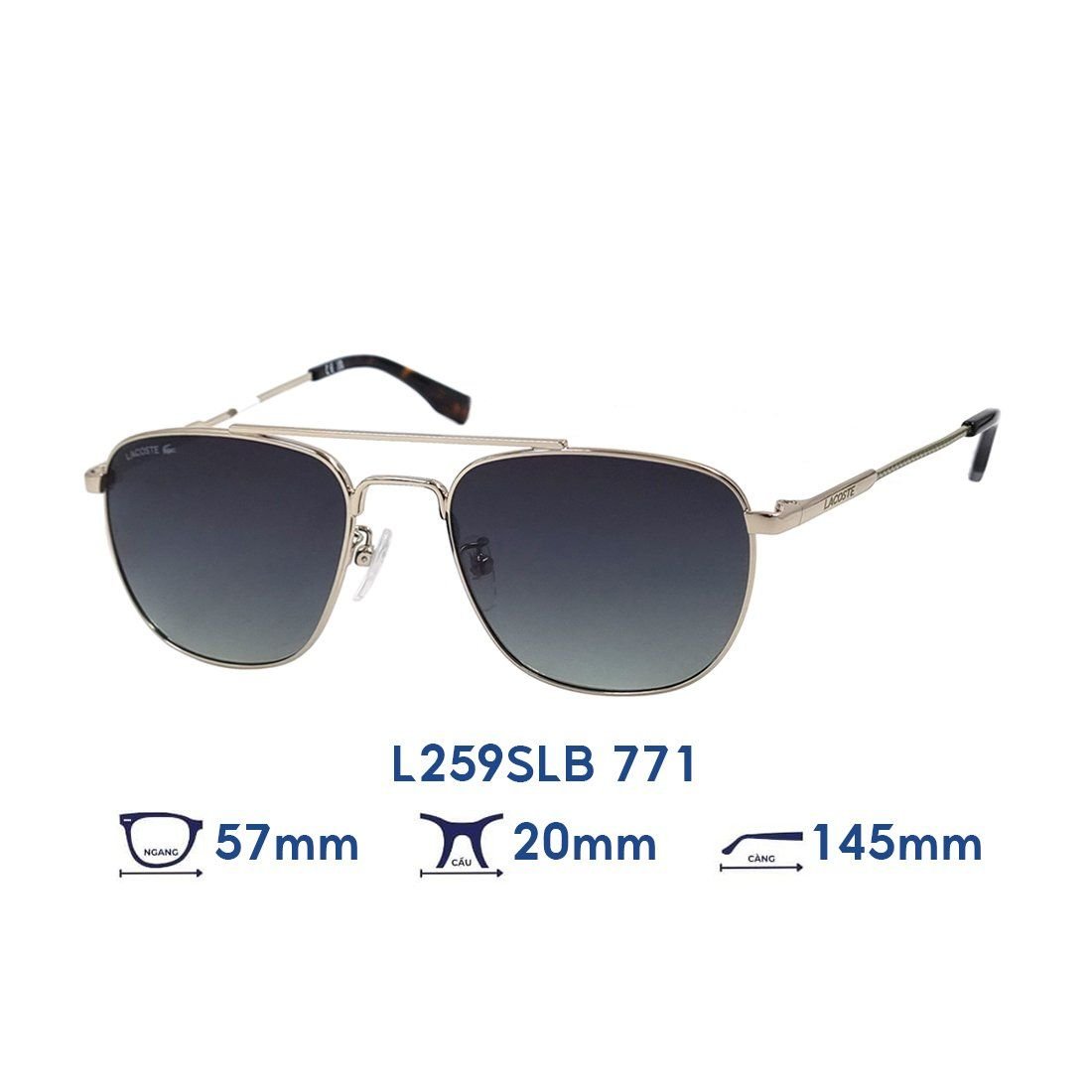 Kính mát LACOSTE L259SLB 771 