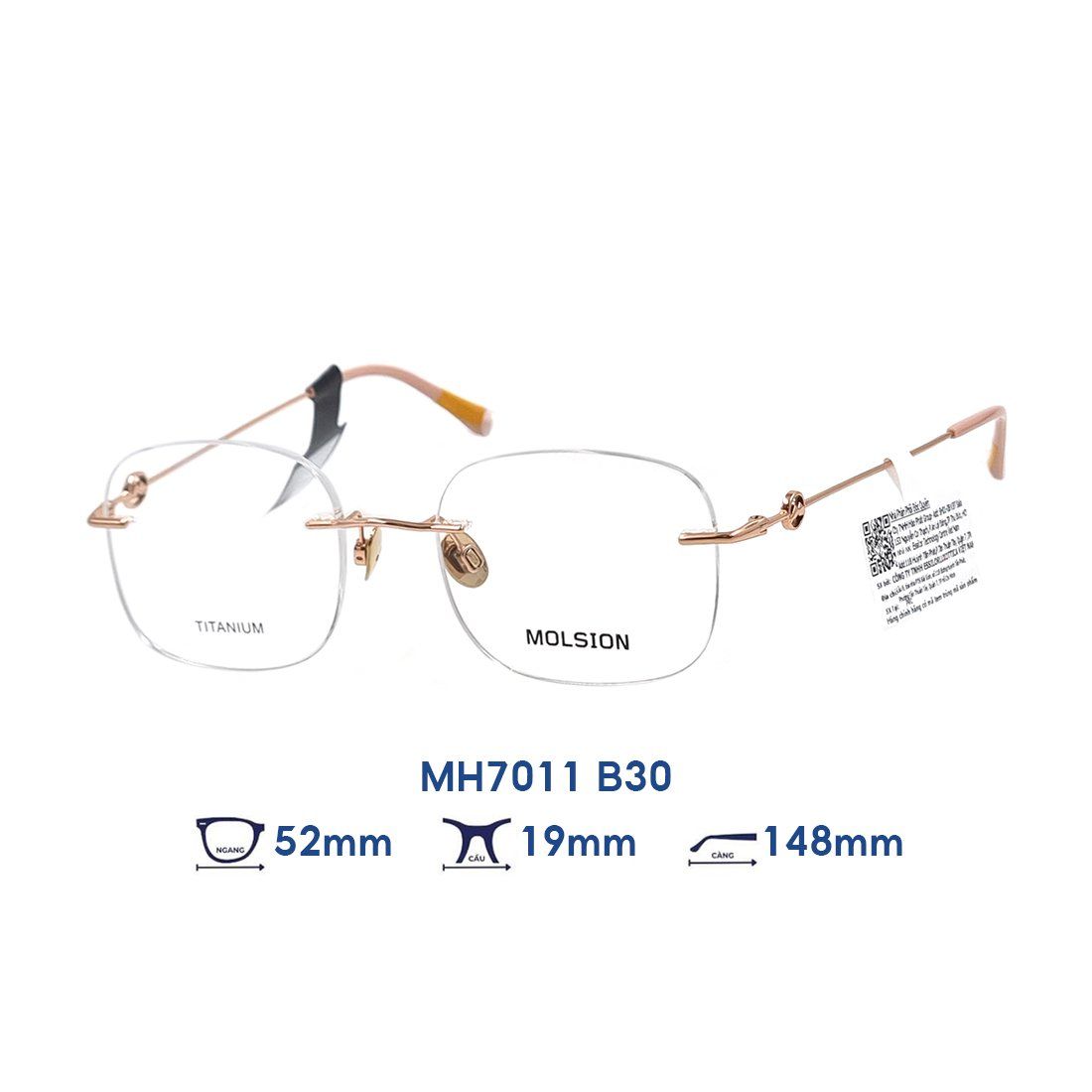  Gọng kính MOLSION MH7011 B30 