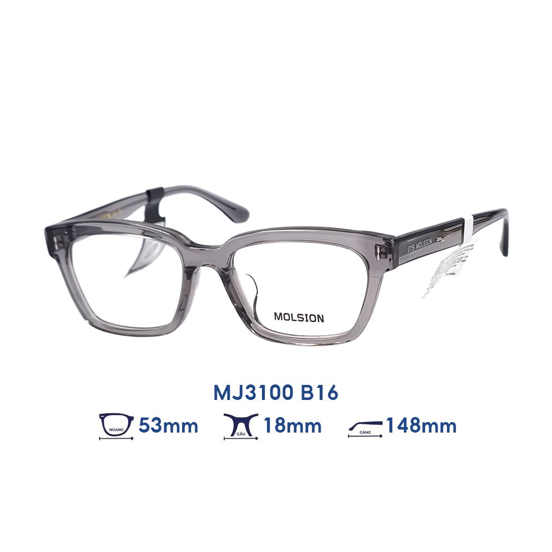  Gọng kính MOLSION MJ3100 B16 