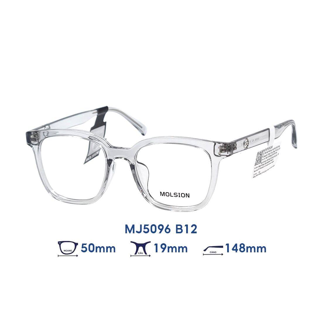  Gọng kính MOLSION MJ5096 B12 