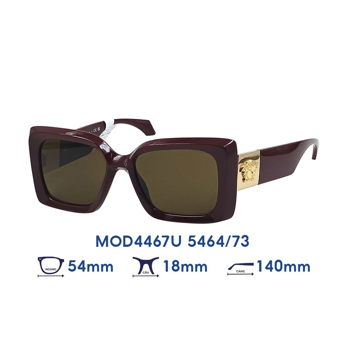  Kính mát VERSACE MOD4467U 5464/73 