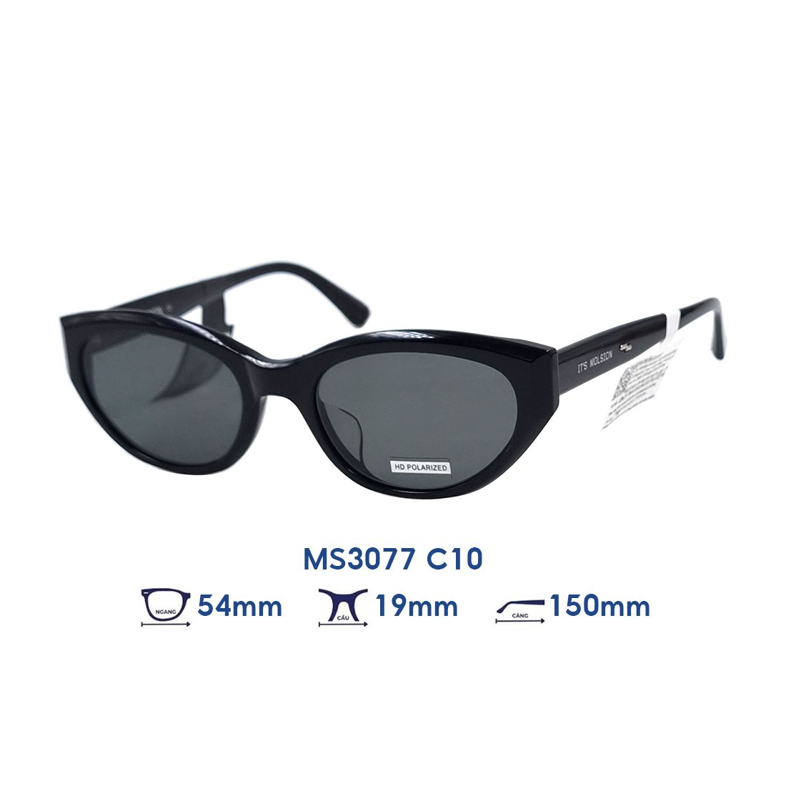  Kính mát MOLSION MS3077 C10 