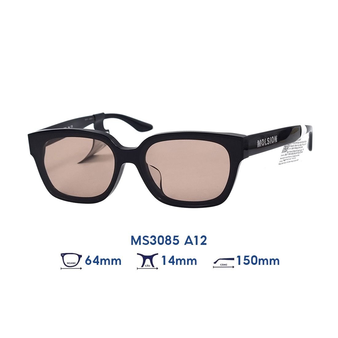  Kính mát MOLSION MS3085 A12 