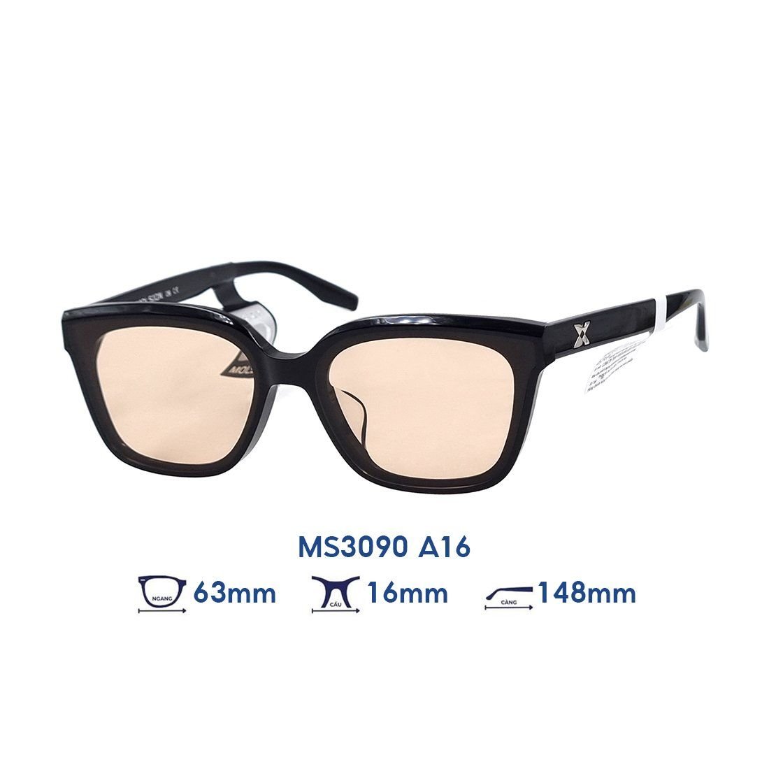  Kính mát MOLSION MS3090 A16 