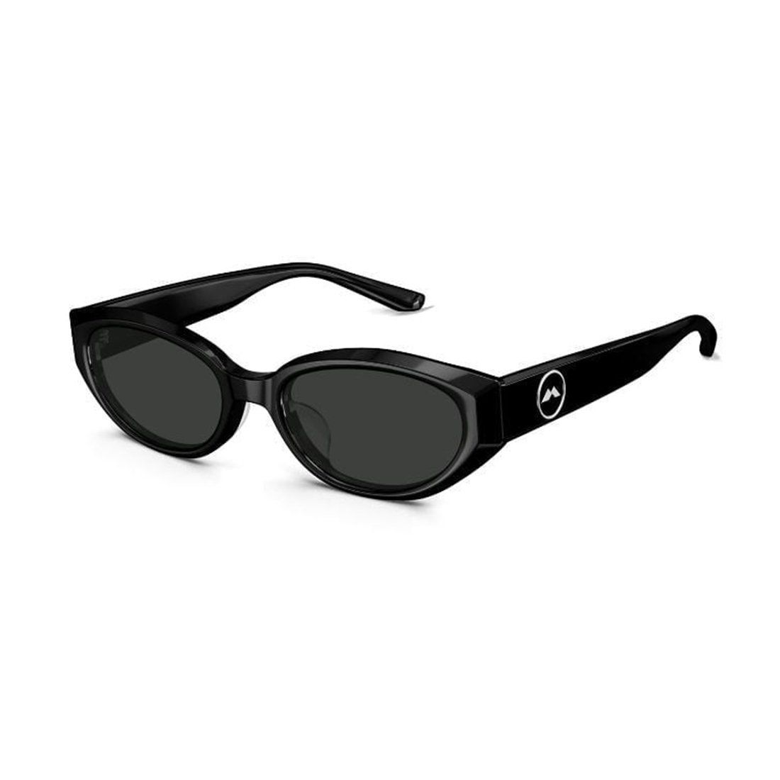 KÍNH MÁT UNISEX MOLSION MS3103 C10 