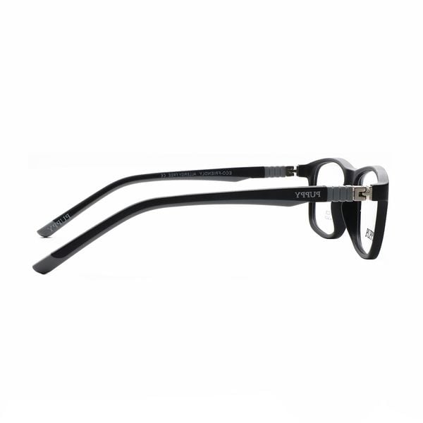 Gọng kính trẻ em Kids PUPPY P2242 C8