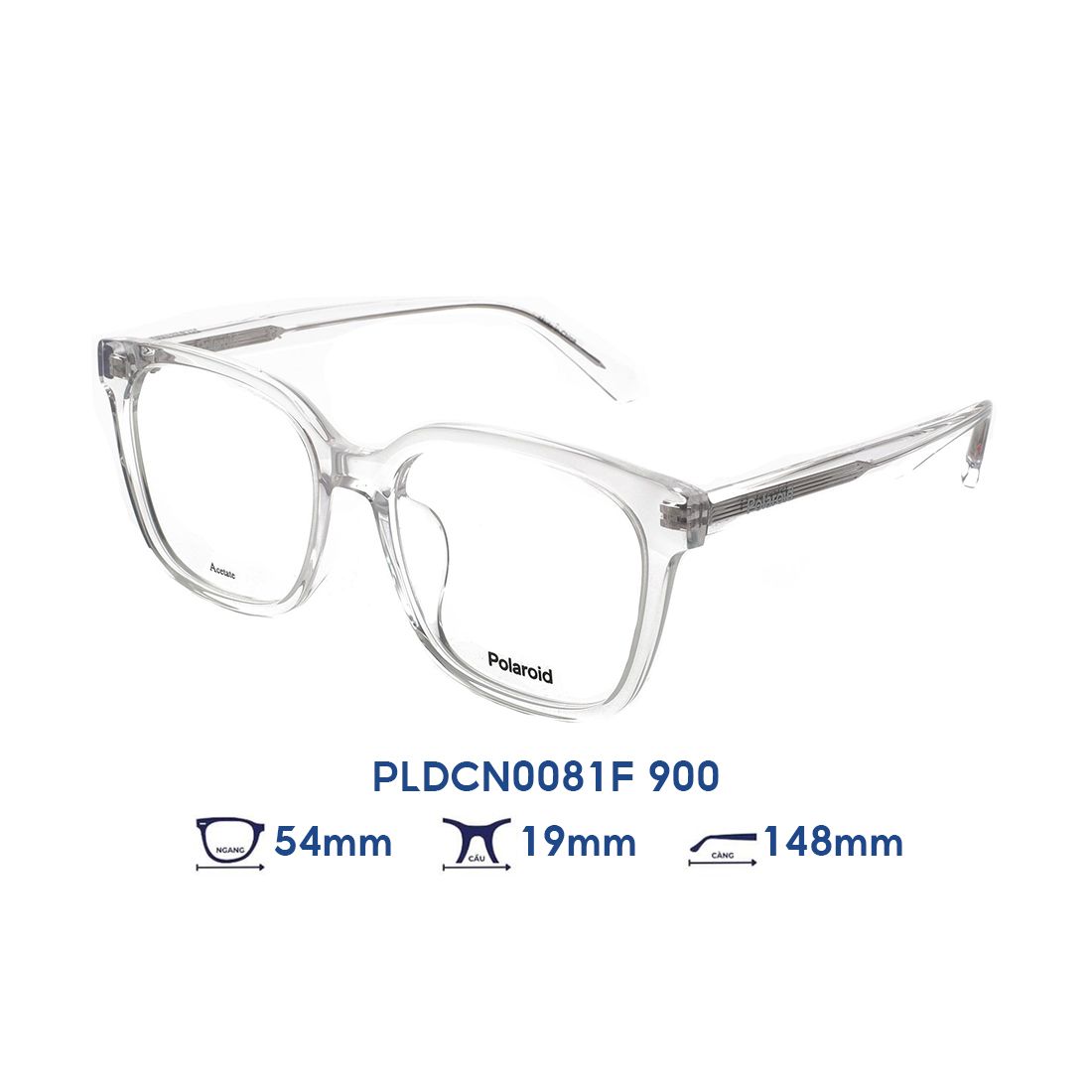  Gọng kính POLAROID PLDCN0081F 900 