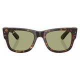  Kính mát RAYBAN RB0840SF 902/4E 
