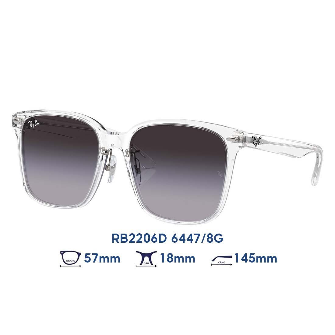  Kính mát RAYBAN RB2206D 6447/8G 