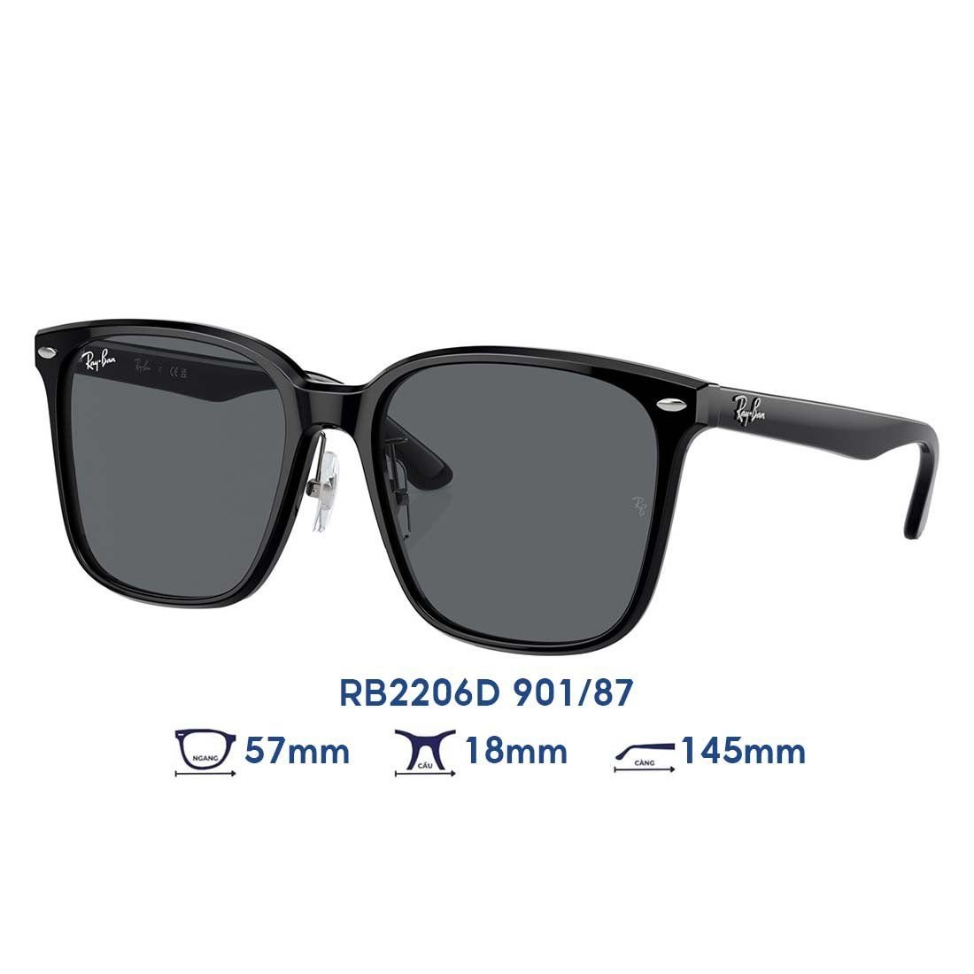  Kính mát RAYBAN RB2206D 901/87 