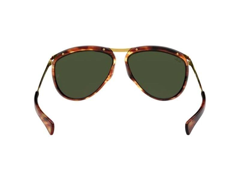  Kính Mát Ray-Ban RB2219 954/31 size 59 