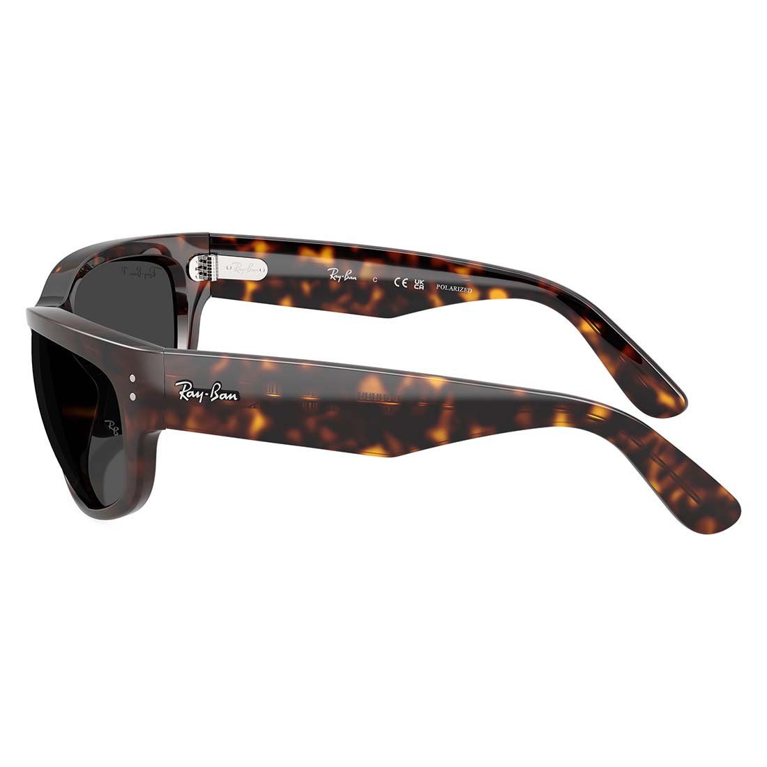  Kính mát RAYBAN RB2289 902/48 