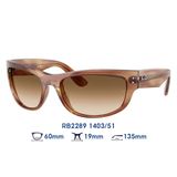  Kính mát RAYBAN RB2289 1403/51 