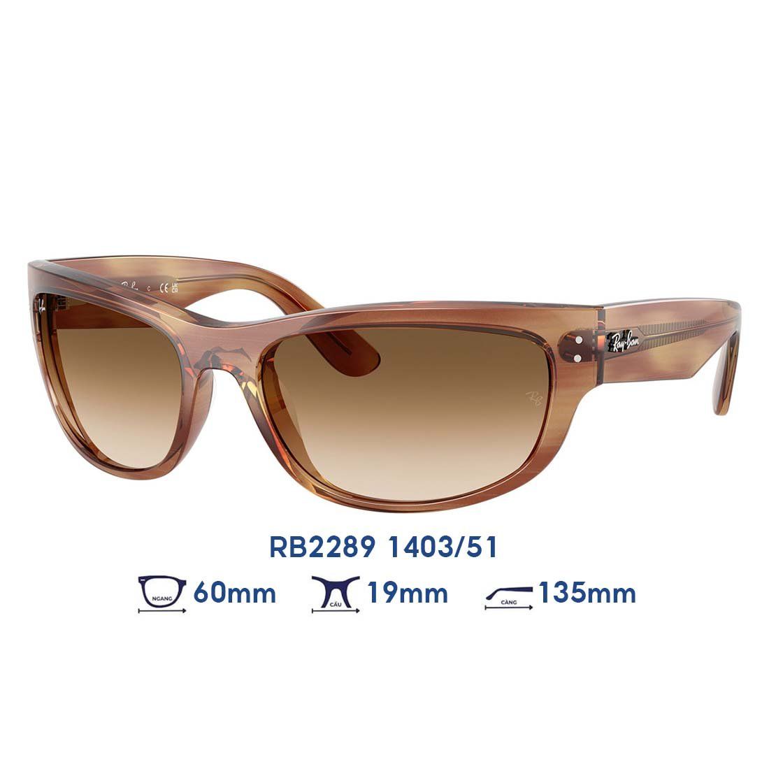  Kính mát RAYBAN RB2289 1403/51 