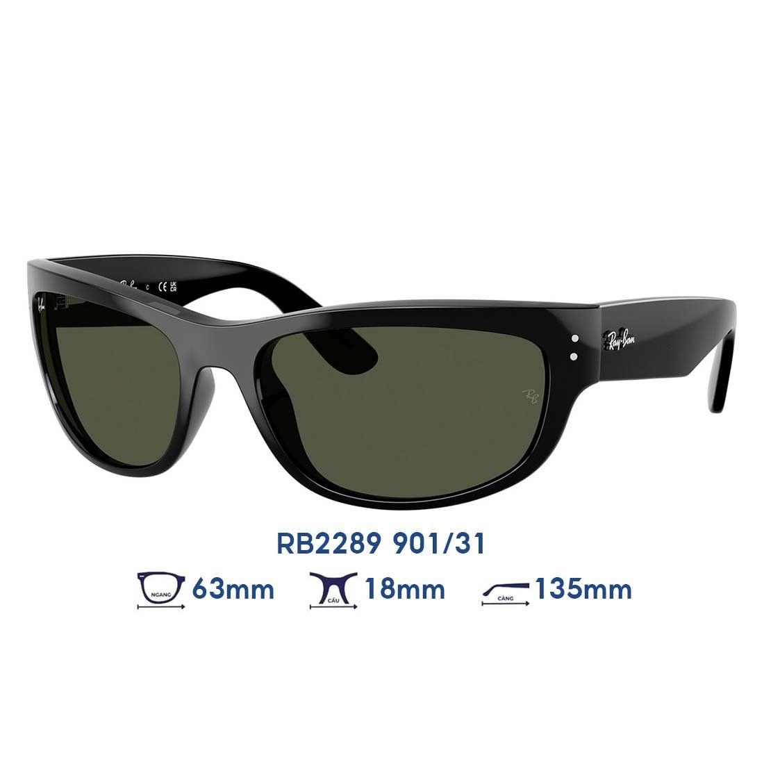  Kính mát RAYBAN RB2289 901/31 