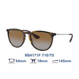  Kính mát RAYBAN RB4171F 710/T5 