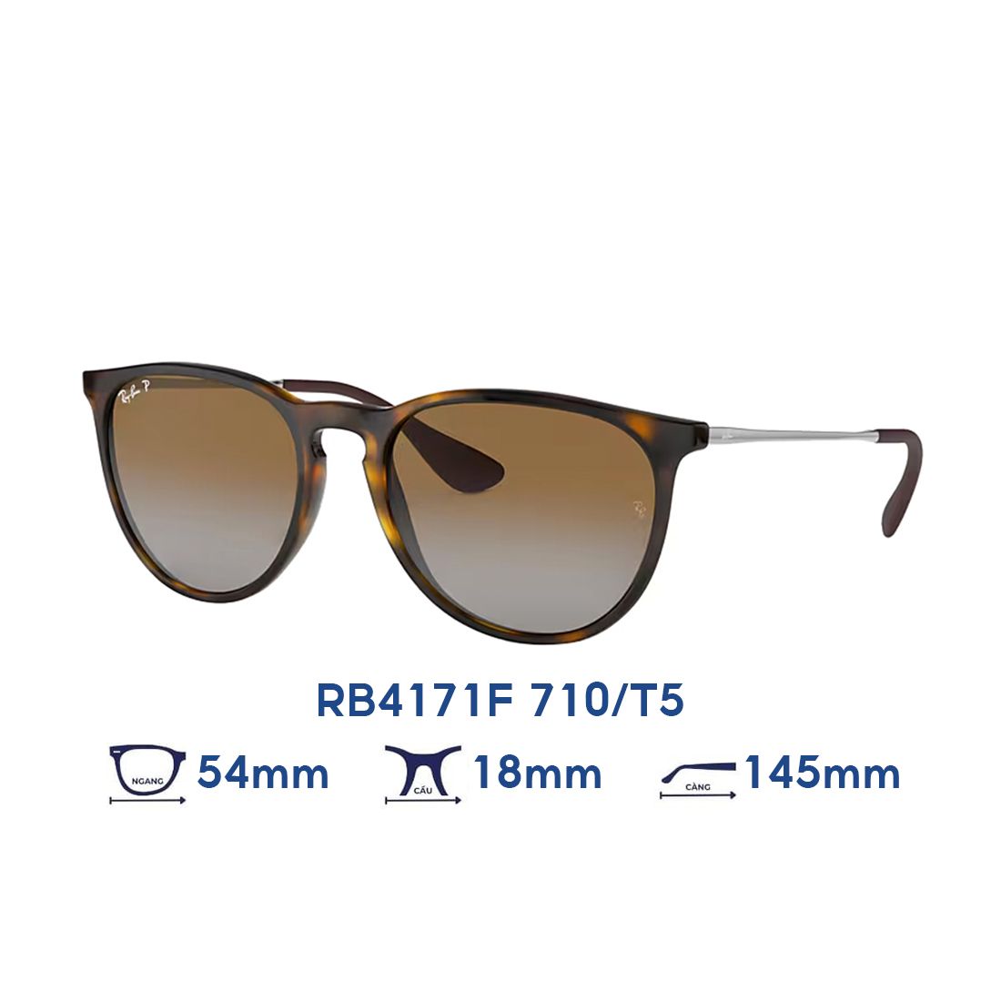  Kính mát RAYBAN RB4171F 710/T5 