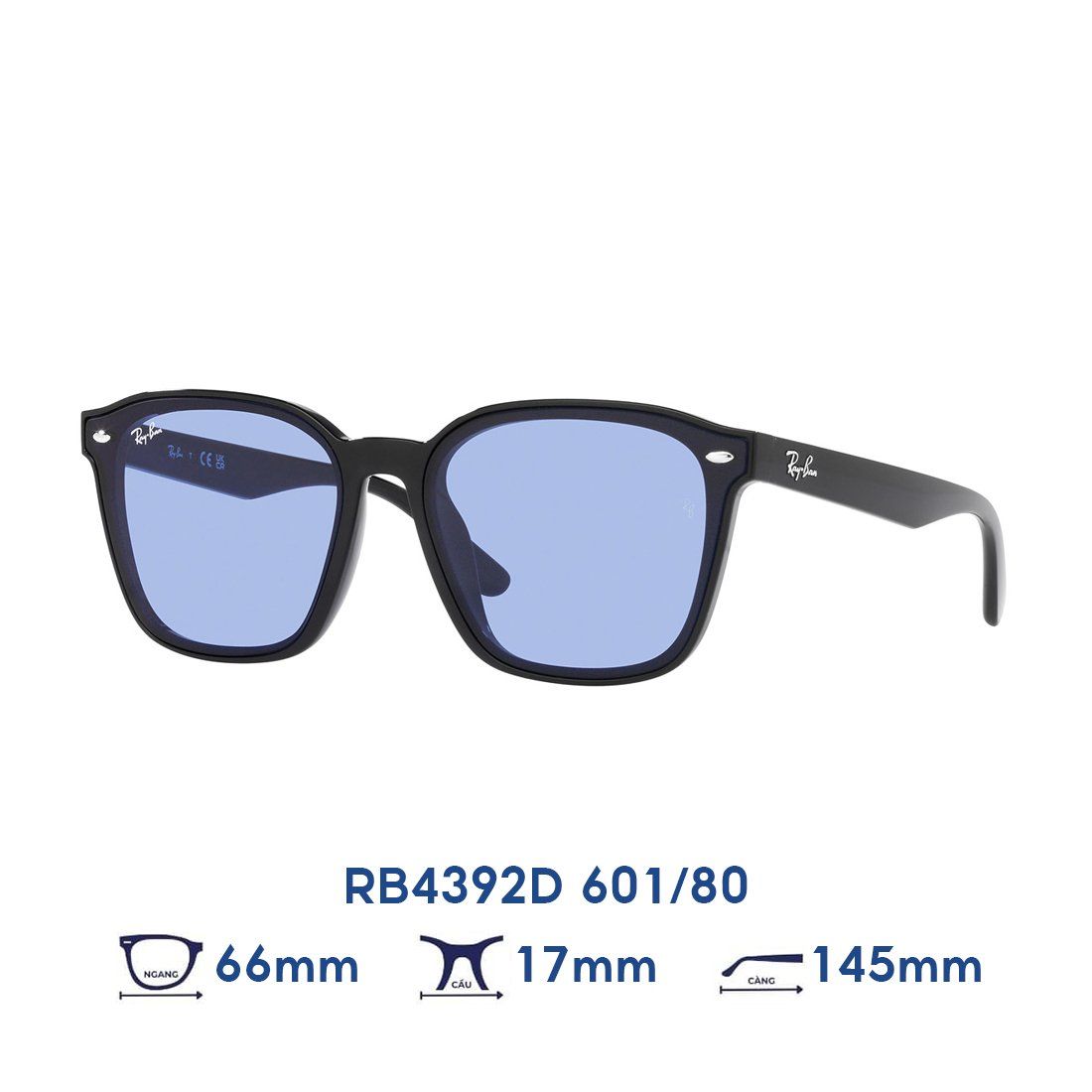  Kính mát RAYBAN RB4392D 601/80 