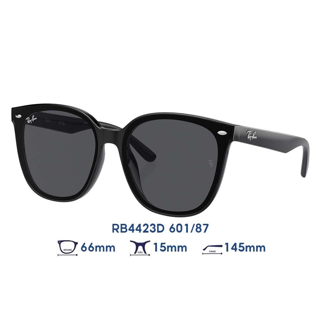  Kính mát RAYBAN RB4423D 601/87 