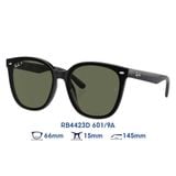  Kính mát RAYBAN RB4423D 601/9A 