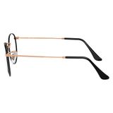  Gọng kính RAYBAN RB3447V 3173 