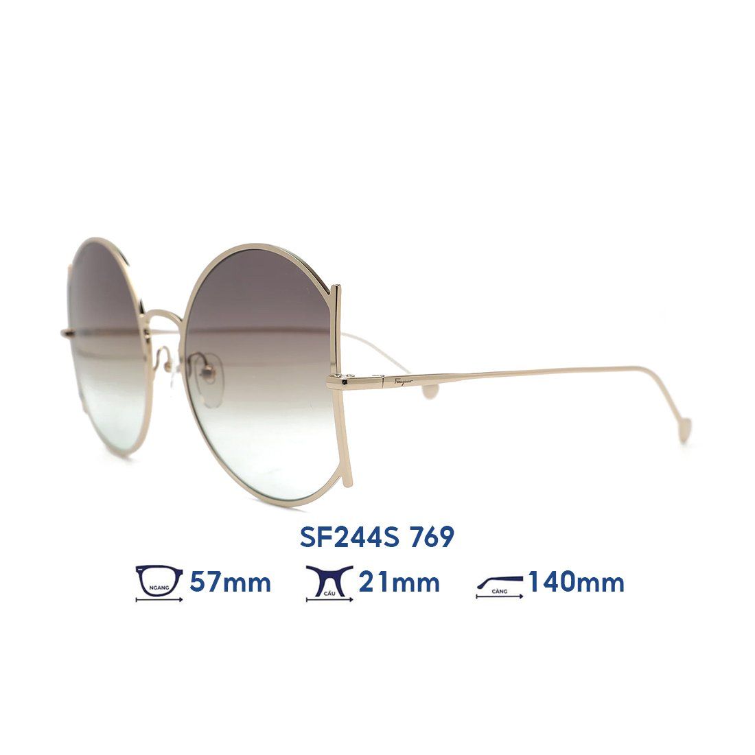  Kính mát Salvatore Ferragamo SF244S 769 