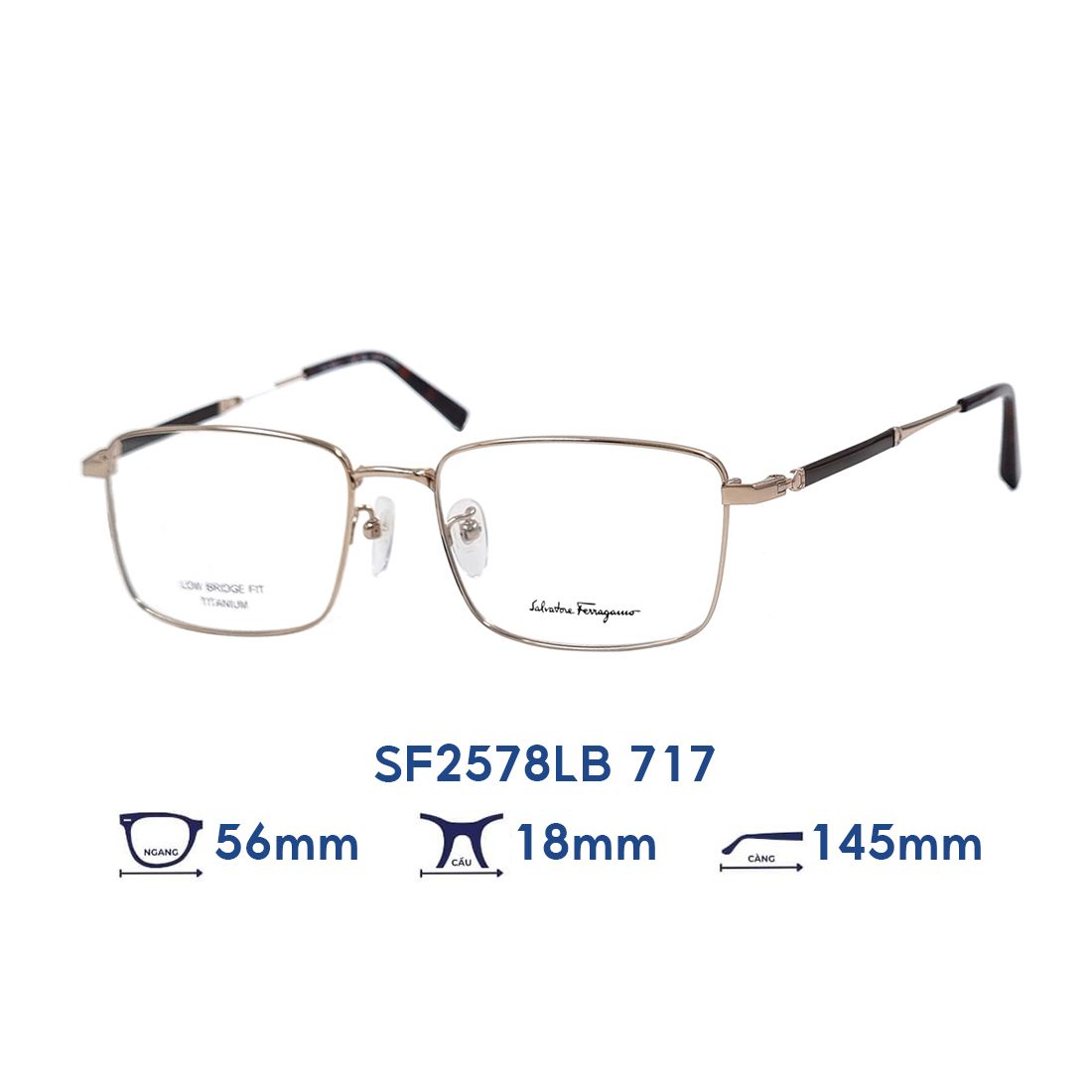  Gọng kính Salvatore Ferragamo SF2578LB 717 