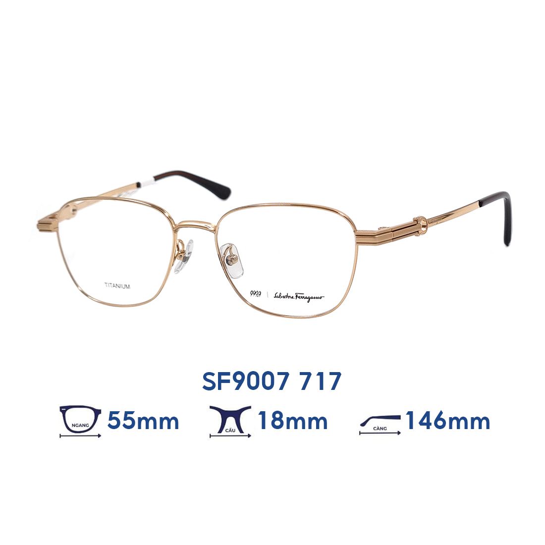  Gọng kính Salvatore Ferragamo SF9007 717 