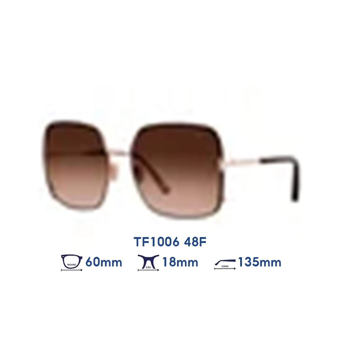 Kính mát TOM FORD TF1006 48F