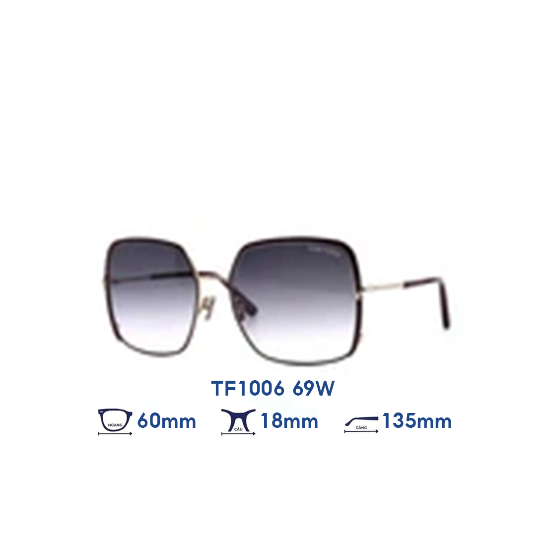 Kính mát TOM FORD TF1006 69W