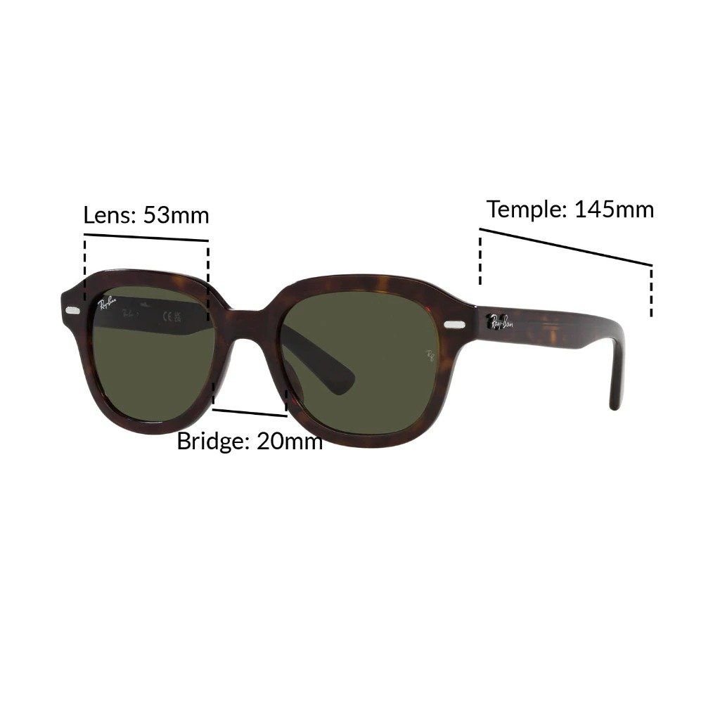 Ray-Ban Erik RB4398F 90231