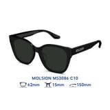  Kính mát MOLSION MS3086 C10 