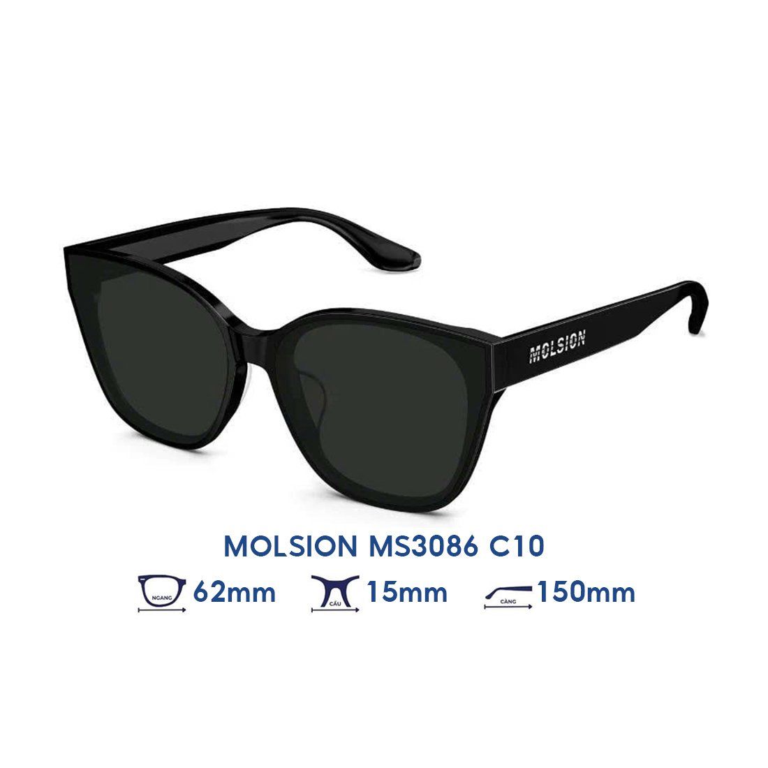  Kính mát MOLSION MS3086 C10 